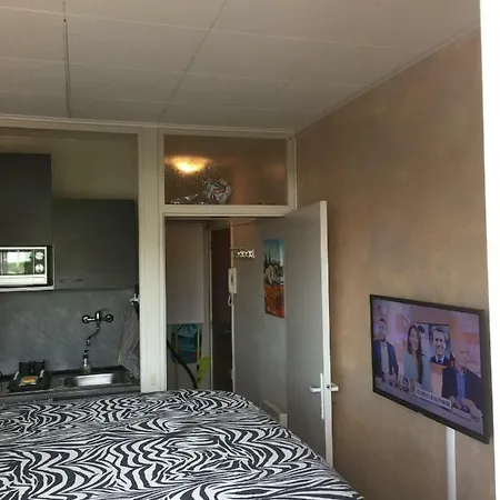 Διαμέρισμα Frejus Studio